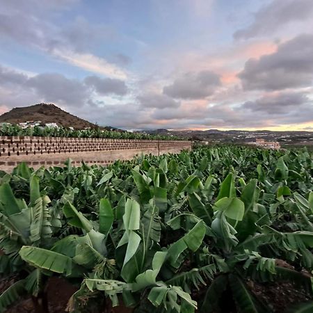 Rk Hacienda La Rekompensa Arucas Exteriér fotografie