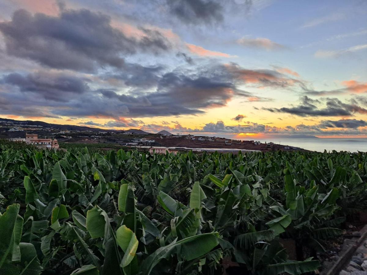 Rk Hacienda La Rekompensa Arucas Exteriér fotografie