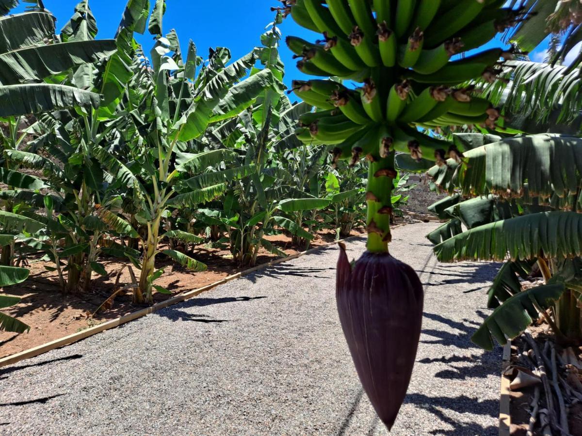 Rk Hacienda La Rekompensa Arucas Exteriér fotografie